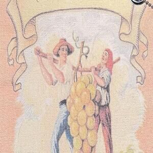 Tote+Able Canvas 750ml Wine Water Beverage Bladder w/Carabiner NWT